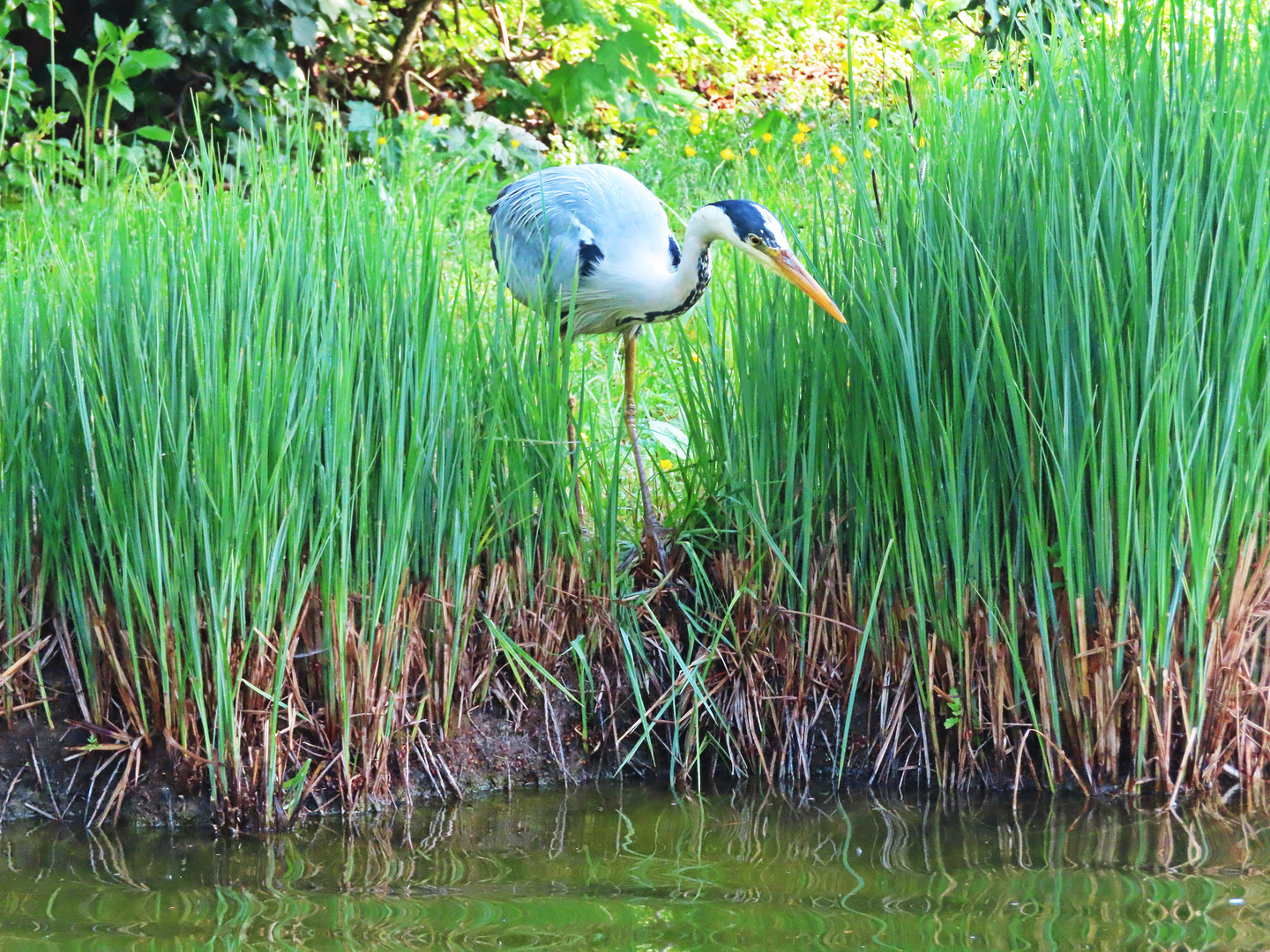 Frühstück im Park (13.05.21)