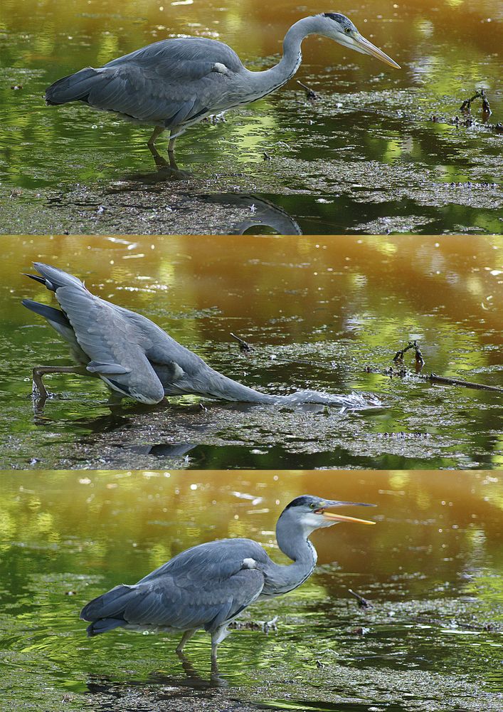 Frühstück im Schloßgarten