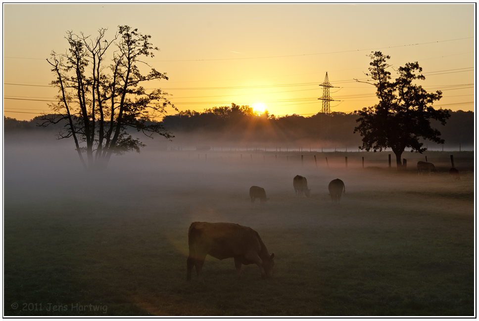 Frühstück im Sonnenaufgang