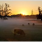 Frühstück im Sonnenaufgang