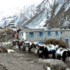 Frühstück in Samdo im Manaslu-Gebiet