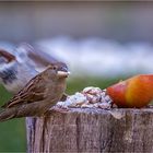 Frühstück ist fertig......