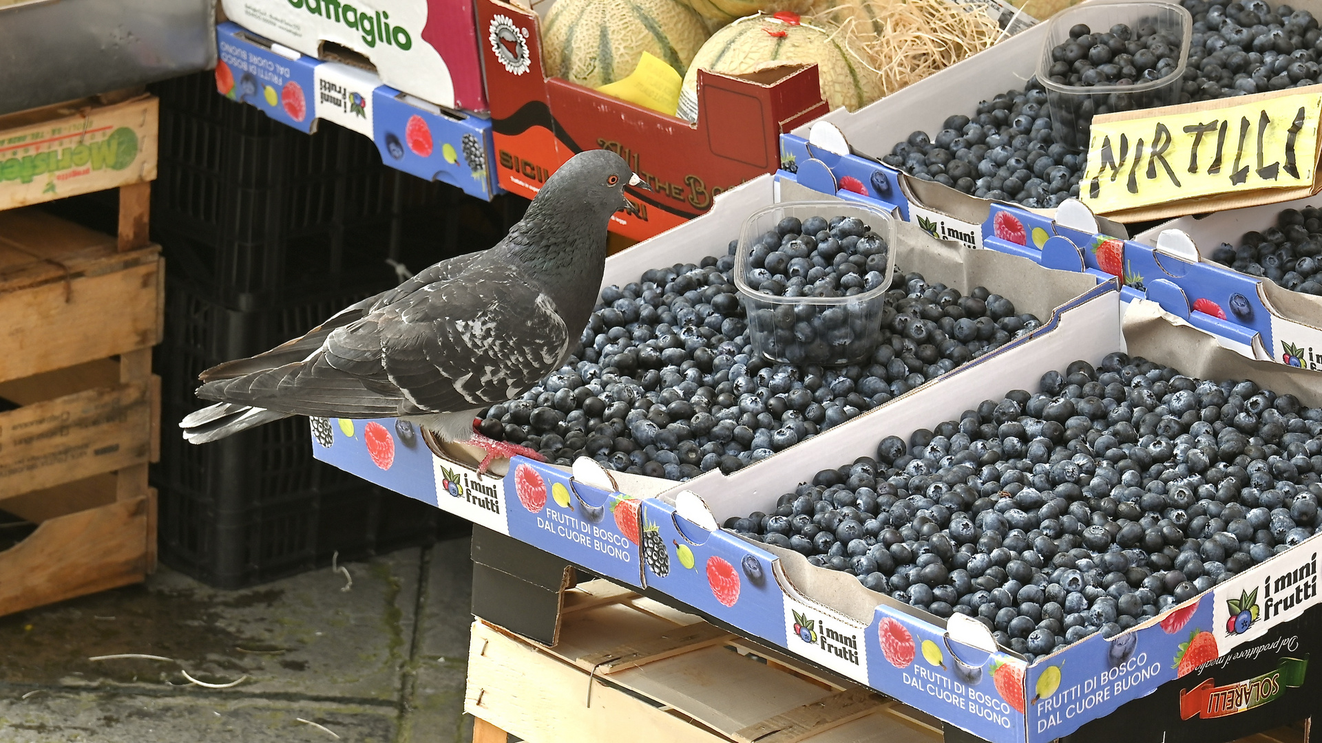 Frühstück lecker serviert ...