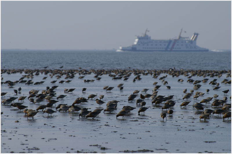 Frühstück mit Blick auf´s Meer