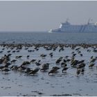 Frühstück mit Blick auf´s Meer