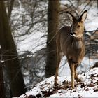 Frühstück vor der Tür