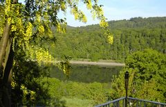 Frühstücksblick am See