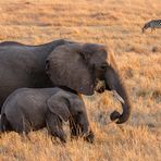 Frühstückszeit in der Masai Mara