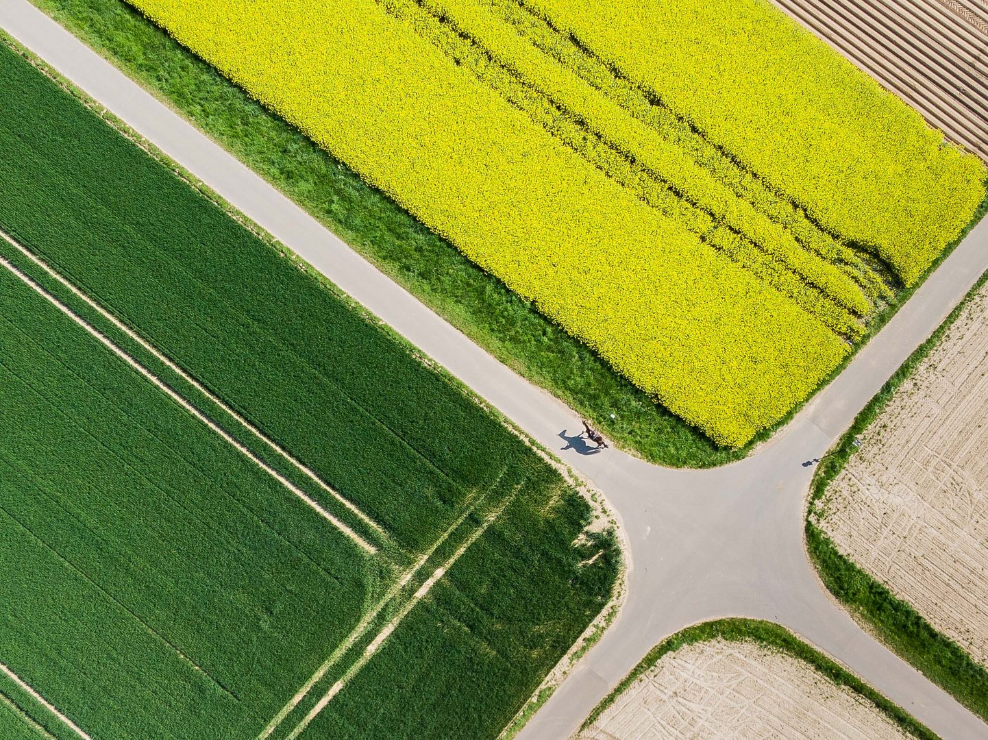 Frühwerk der Drohnenfotografie