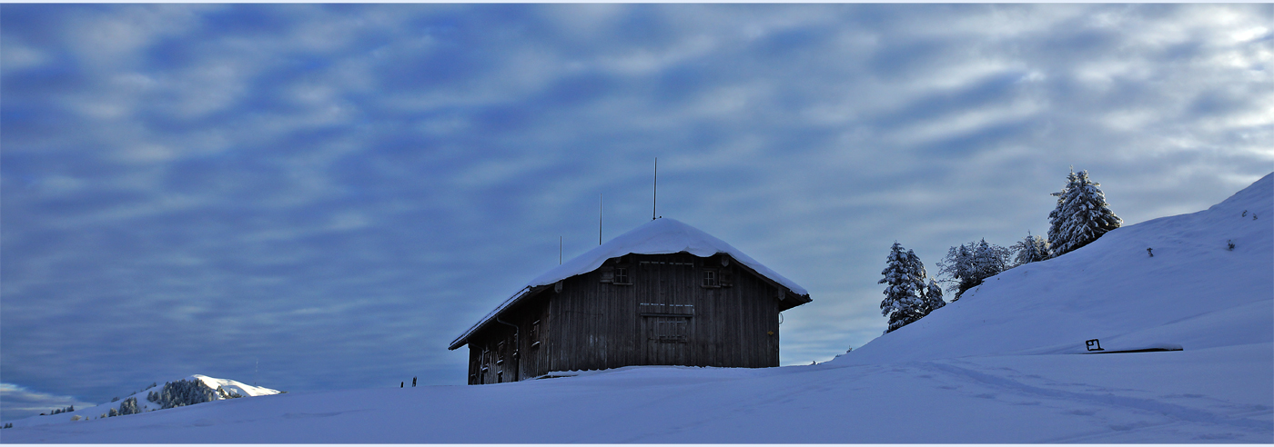 Frühwinter