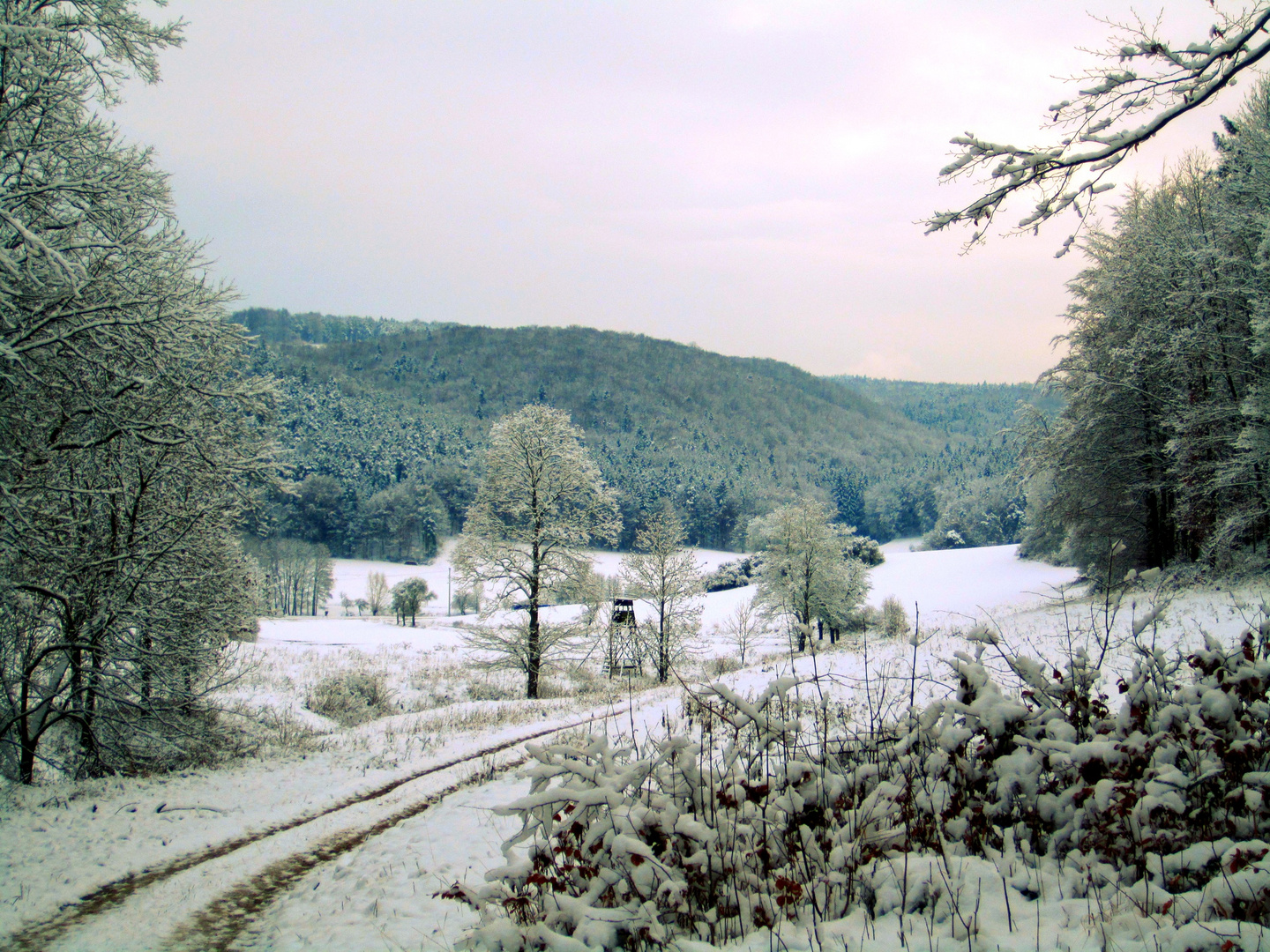 Frühwinter