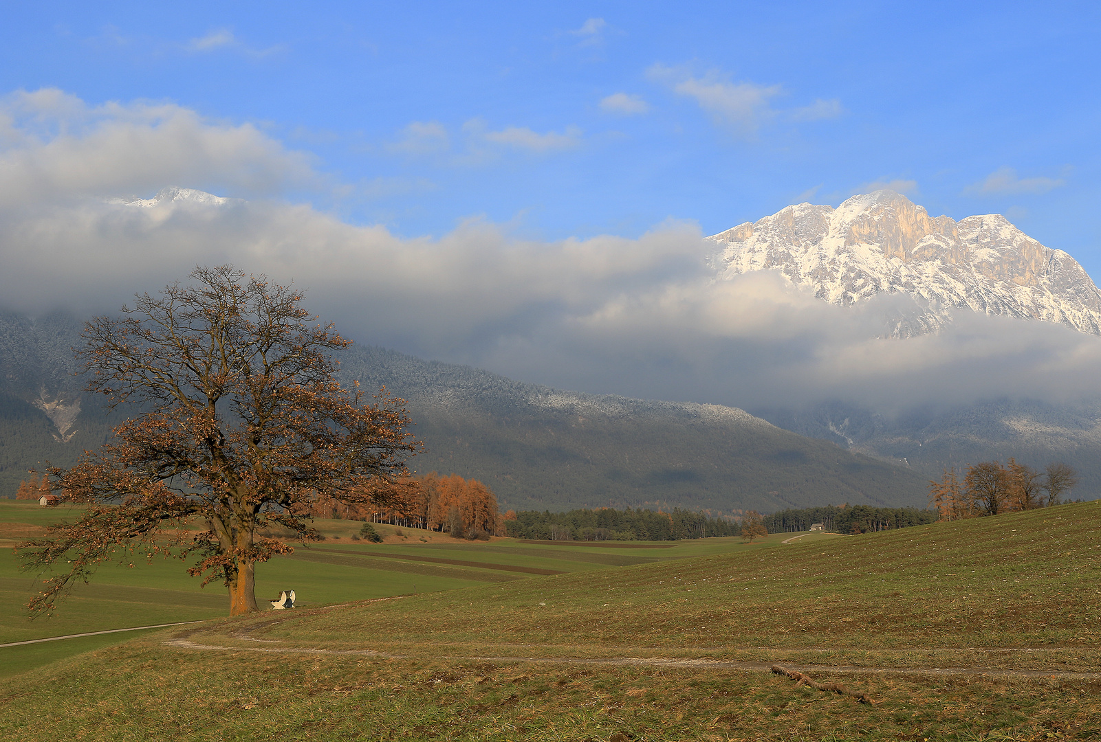 Frühwinter