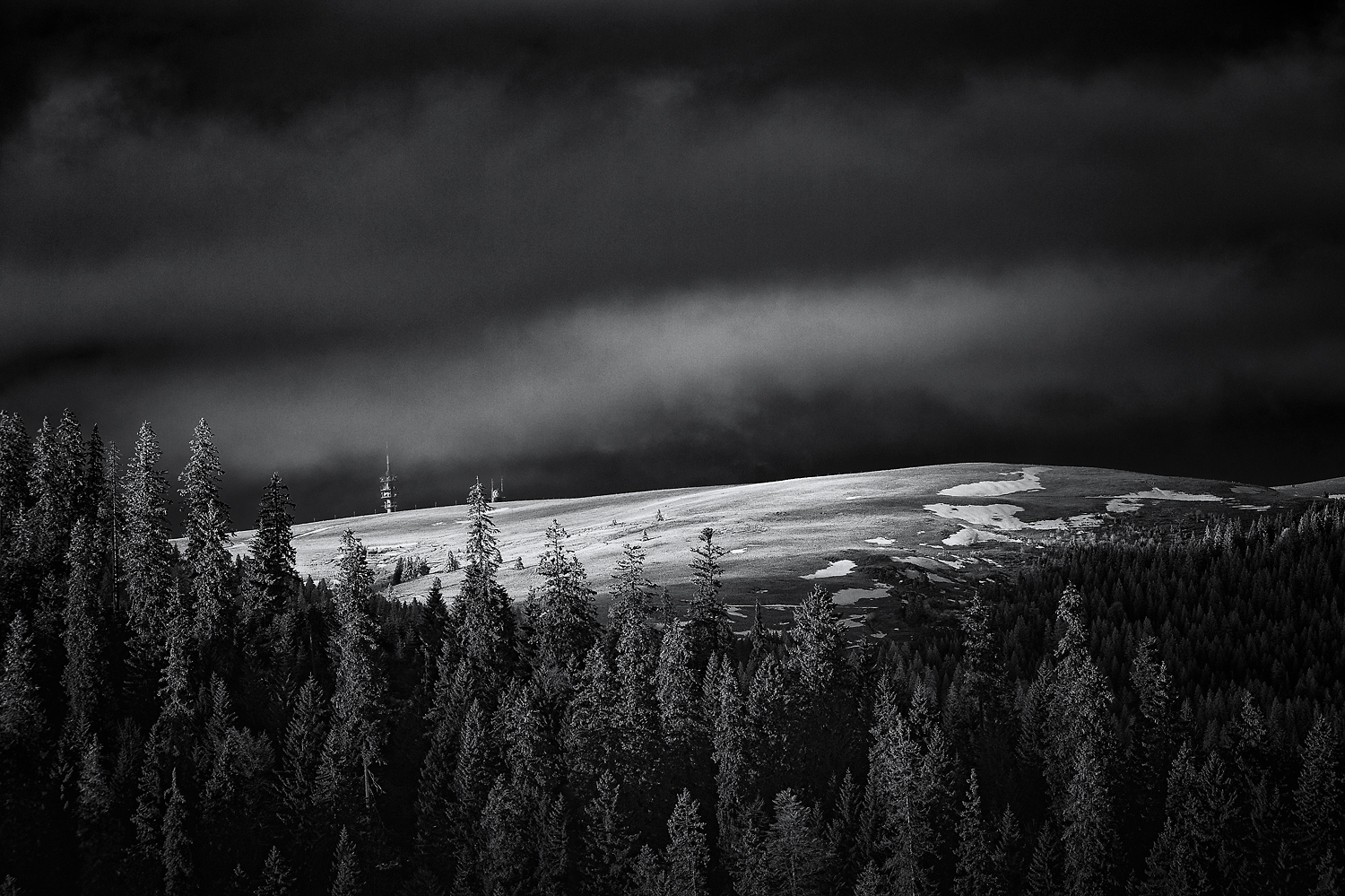 Frühwinter am Feldberg Version I