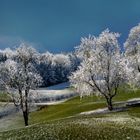 Frühwinter im Salzkammergut