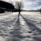 Frühwinter in Tirol