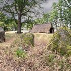 Frühzeitliches Bauernhaus Römstedt, Heide