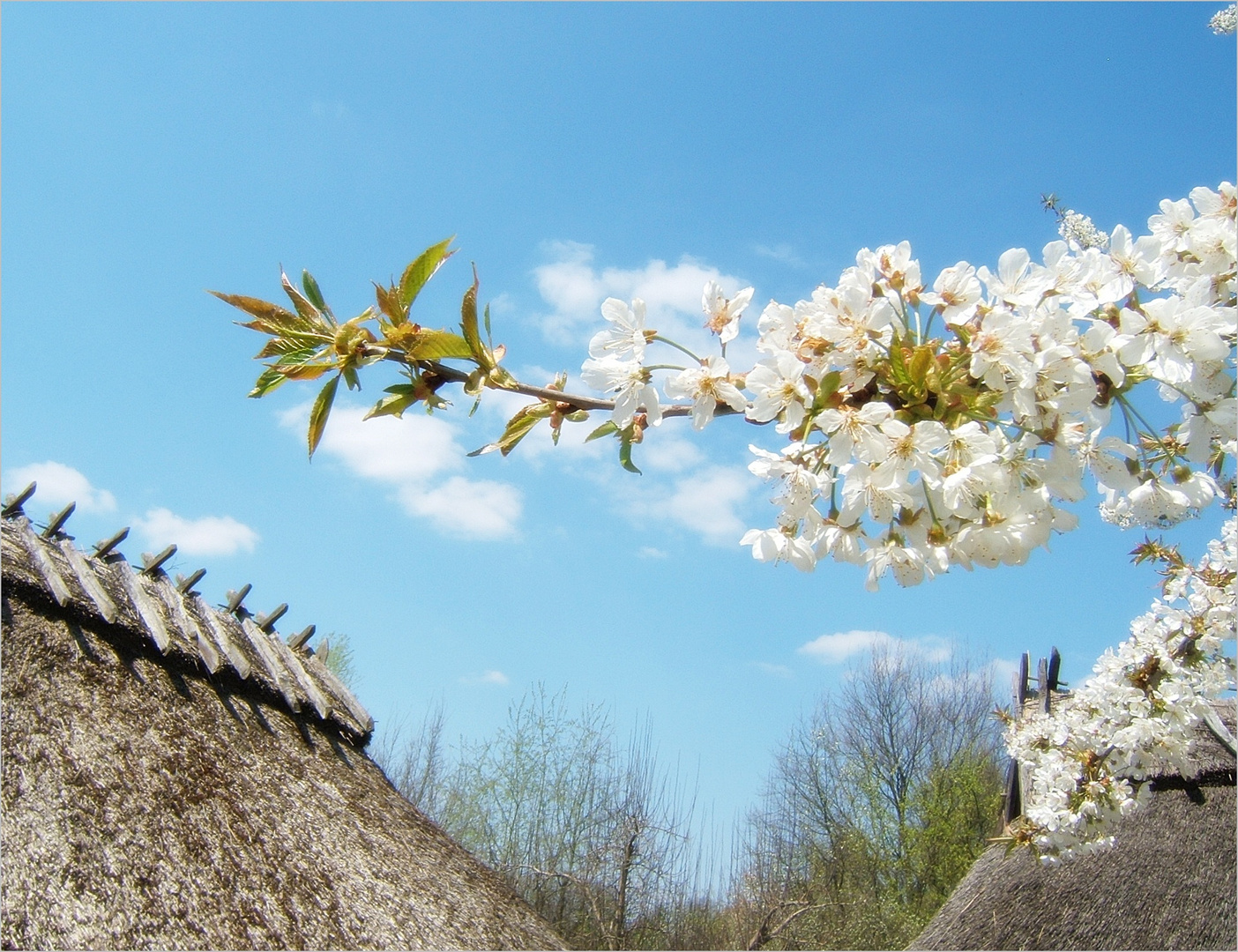 Früühling -