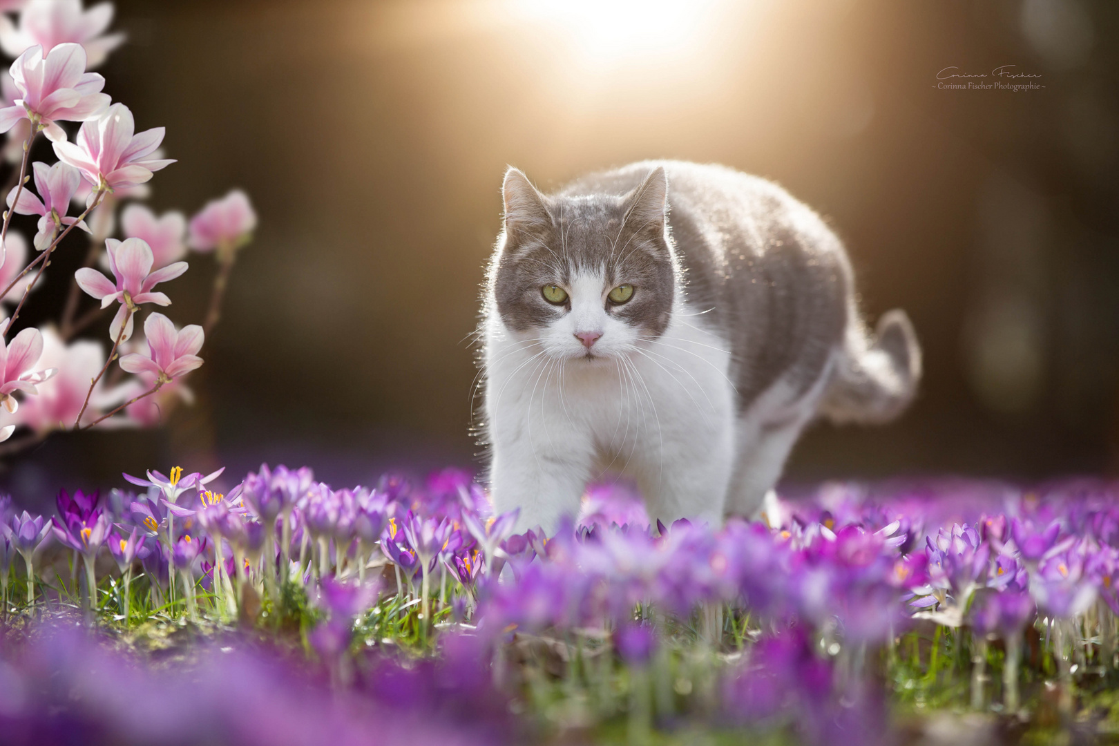 * Früüühling *