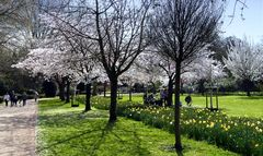 Früüühling