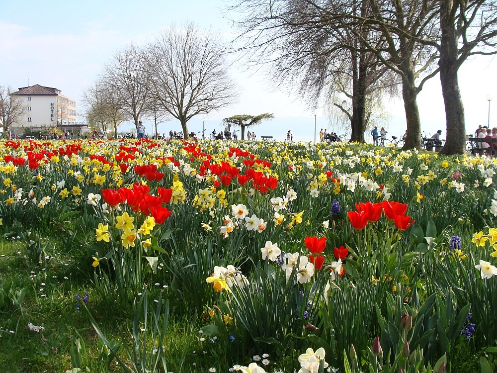 Früüüühling !