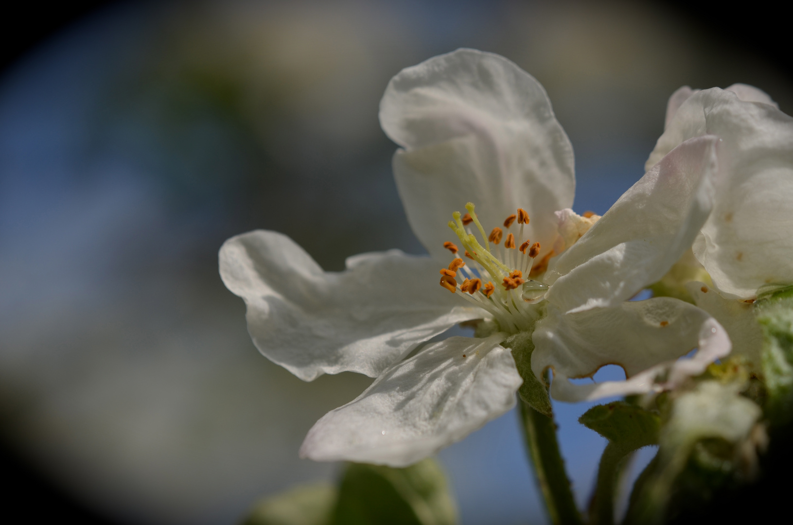 Früüüühling! :)