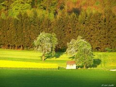 Früüüühling....