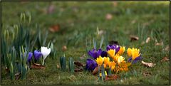 Früüüühling, wo bist du...???