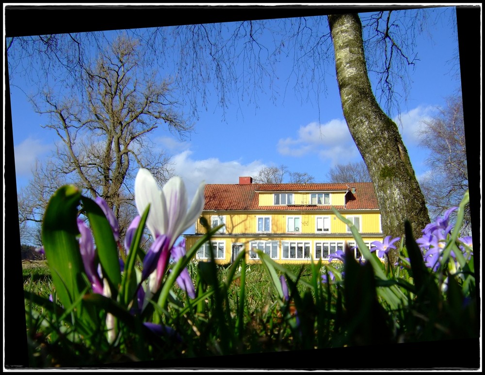 Früüüüühling!!!