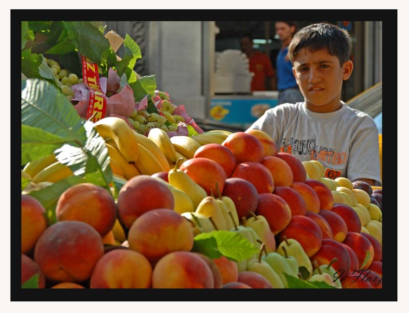 FRUIT KID