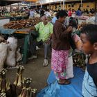 Fruit Market I, Suva / FJ