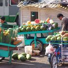 fruit sellers