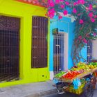 Fruit vendor in old Cartagena, Colombia