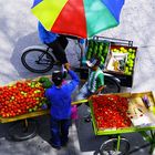 Fruit vendors of Colombia