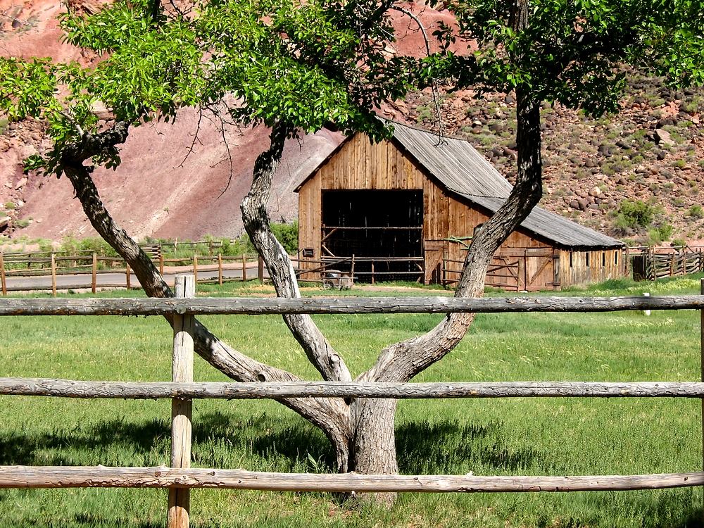 Fruita Barn