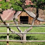 Fruita Barn