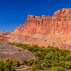 Fruita Historic District gegen Fruita Cliffs, Capitol Reef NP, Utah, USA