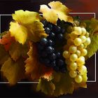 Fruits d'automne