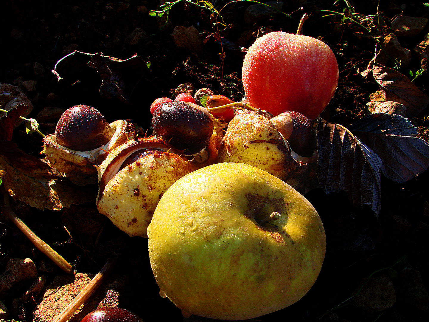 Fruits d'automne