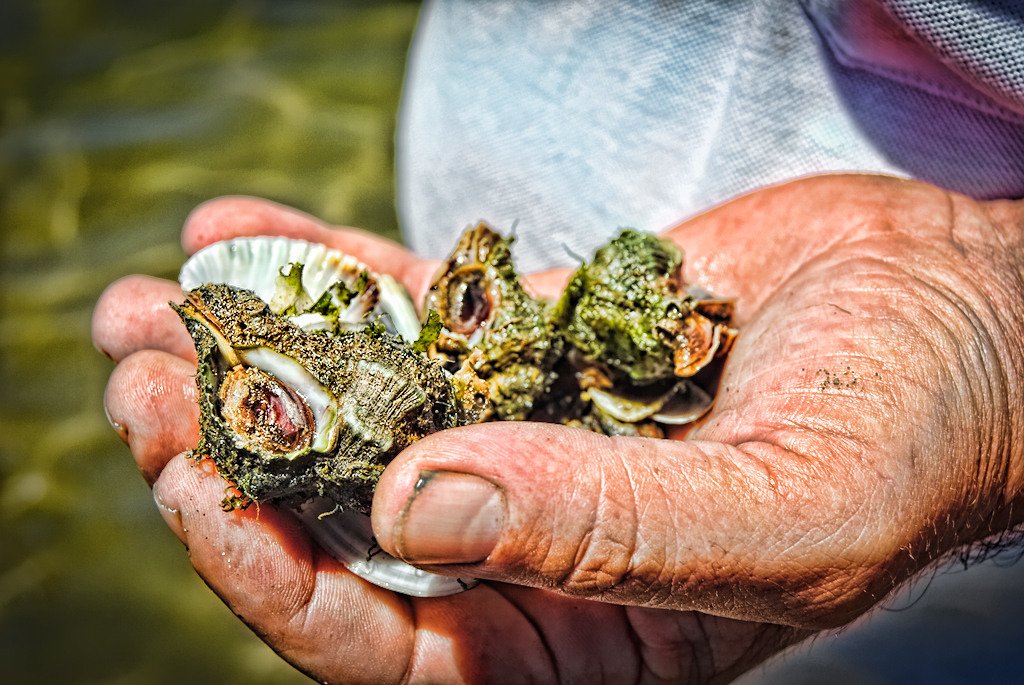 Fruits de la Mer