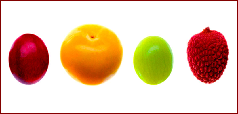 FRUITS