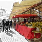 Fruits , fleurs et légumes 