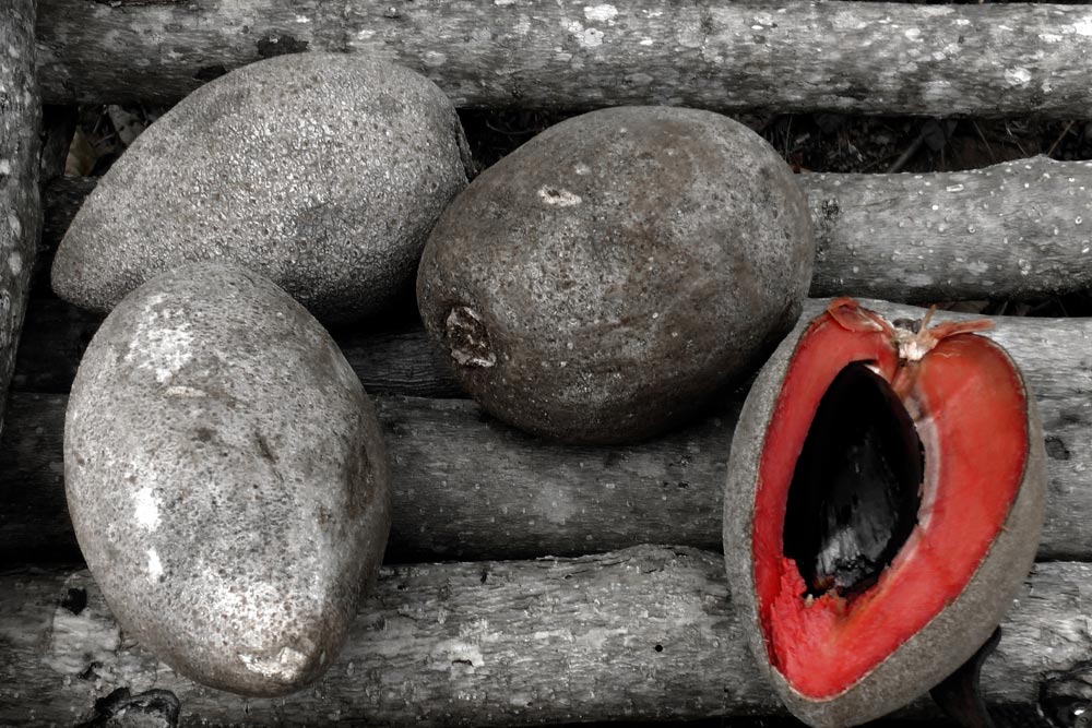 Fruits on the Wood