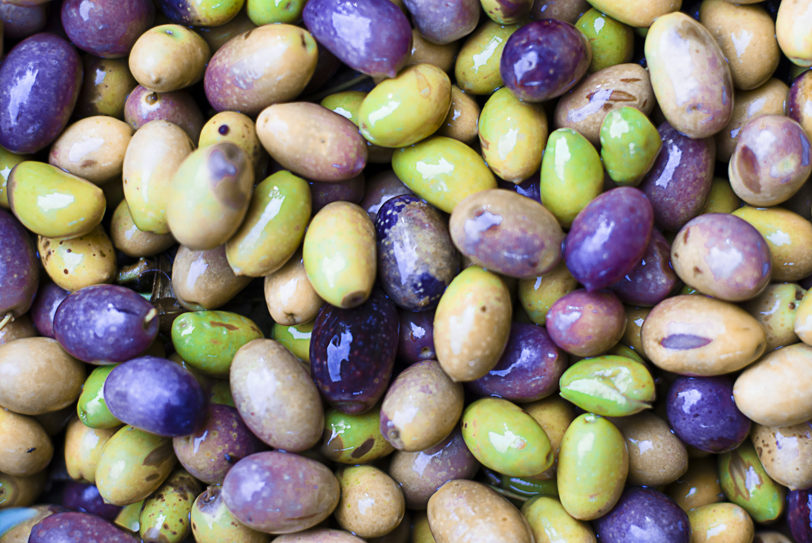 FRUTA DE OTOÑO