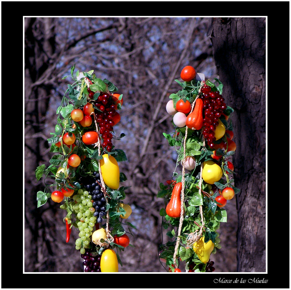 Fruto de la abundancia