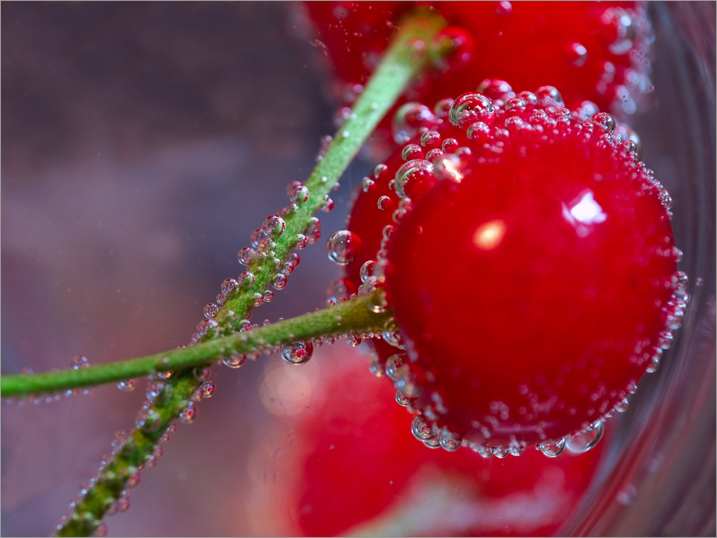 Frutti di stagione.