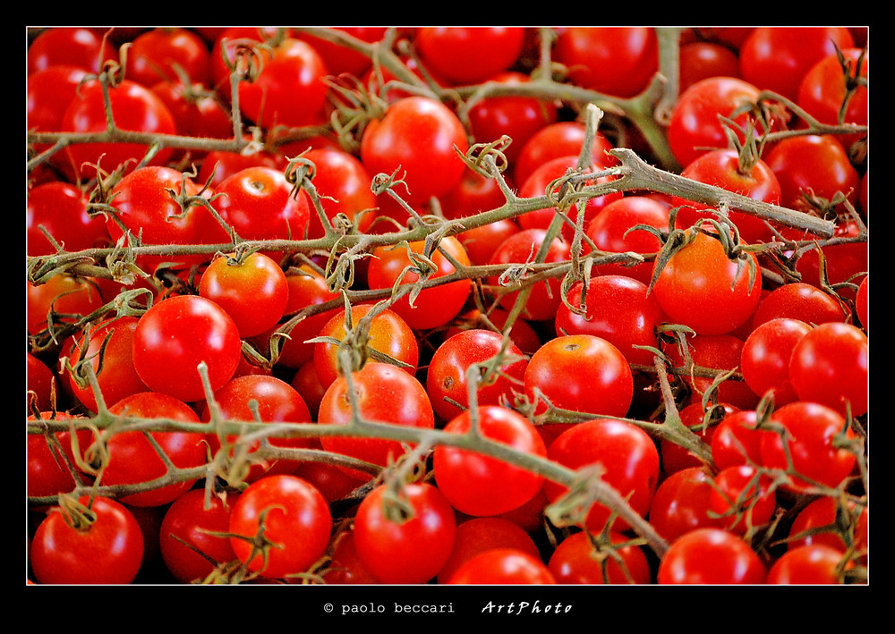 Frutti di stagione