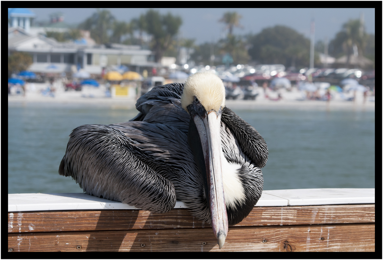 Ft. Myers Beach