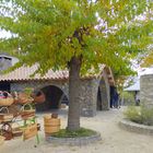 Fête de Montoulieu, Hérault