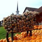 Fête de potiron / Fiesta la calabaza / Kürbisfest..01