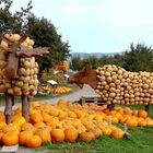 Fête de potiron / Fiesta la calabaza / Kürbisfest..03